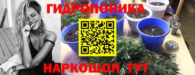 гидропоника Кунгур