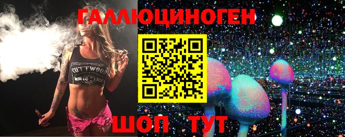 Псилоцибиновые грибы Psilocybe  Вход с VPN  Грязи 