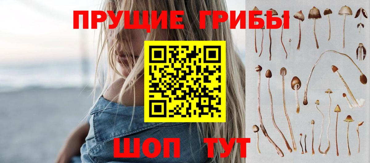 Галлюциногенные грибы Psilocybine cubensis Грязи